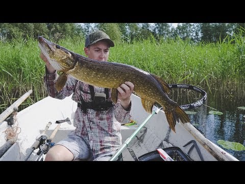Видео 1