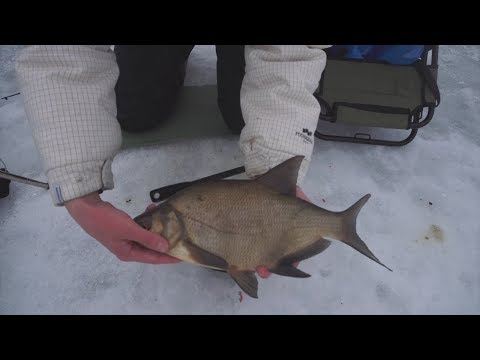 Видео 3