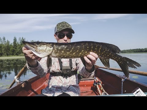 Видео 4